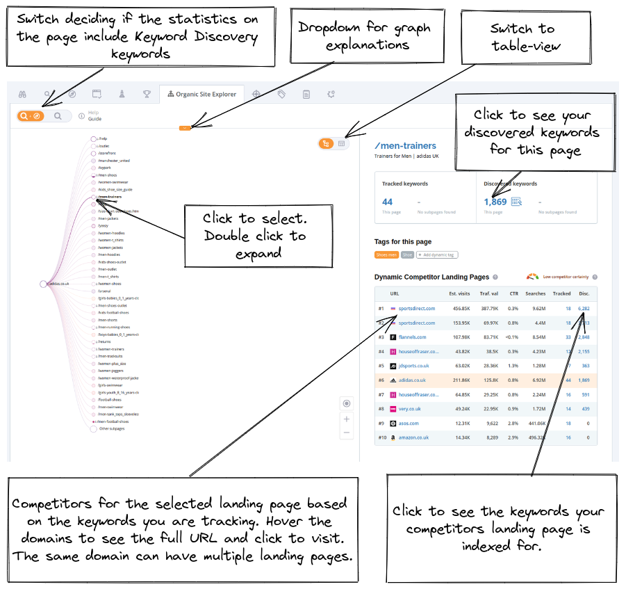 organic-site-explorer-overview-1.png